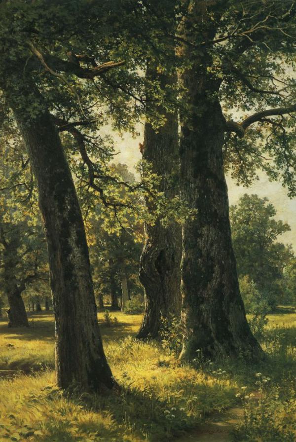 Oaks 1887 by Ivan Shishkin | Oil Painting Reproduction