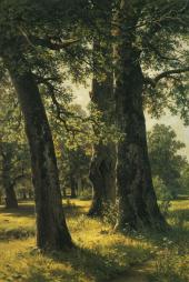 Oaks 1887 By Ivan Shishkin
