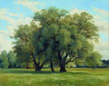Oaks II By Ivan Shishkin