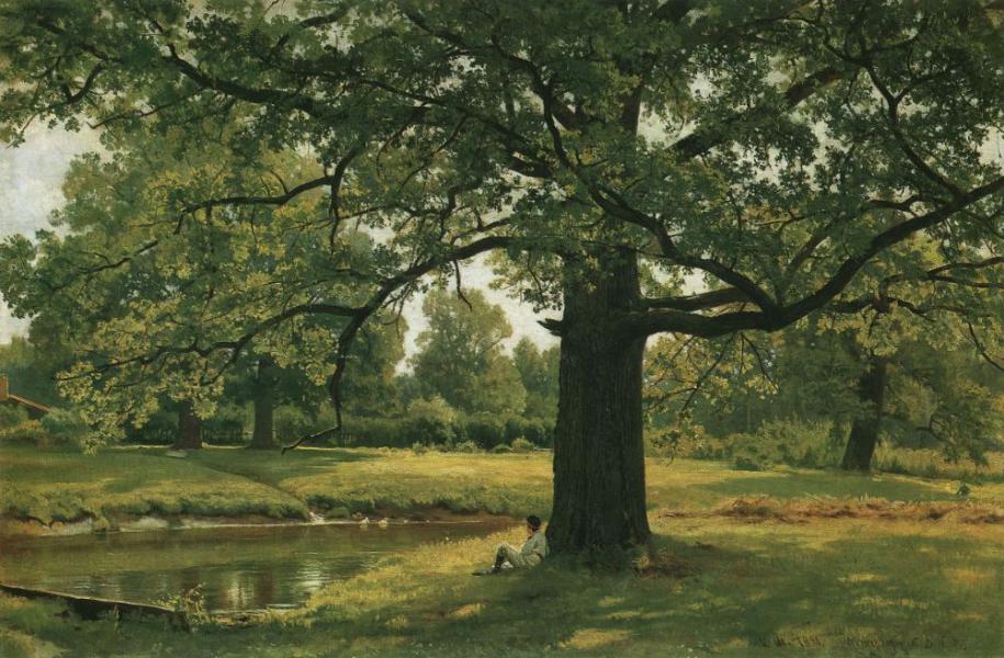 Oaks in the Old Petergof 1891 by Ivan Shishkin | Oil Painting Reproduction