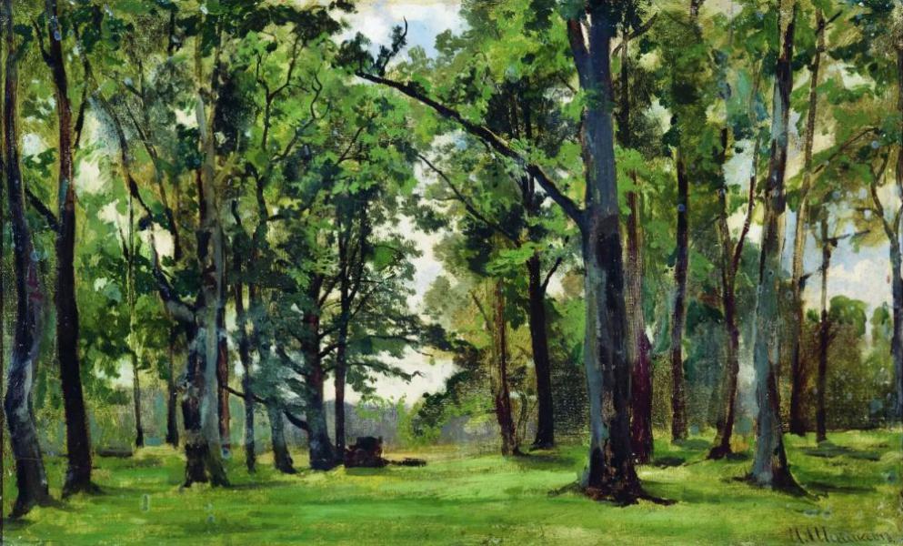 Oaks by Ivan Shishkin | Oil Painting Reproduction