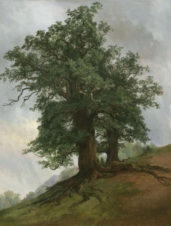 Old Oak 1866 by Ivan Shishkin | Oil Painting Reproduction