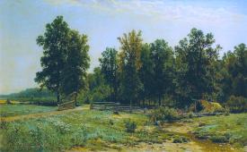 On the Outskirts of Oak Forest 1882 By Ivan Shishkin