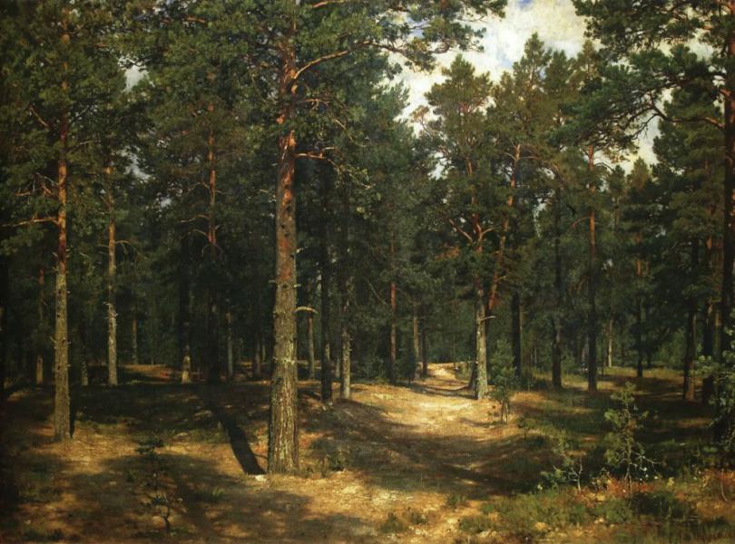 Path Among the Pines 1883 by Ivan Shishkin | Oil Painting Reproduction