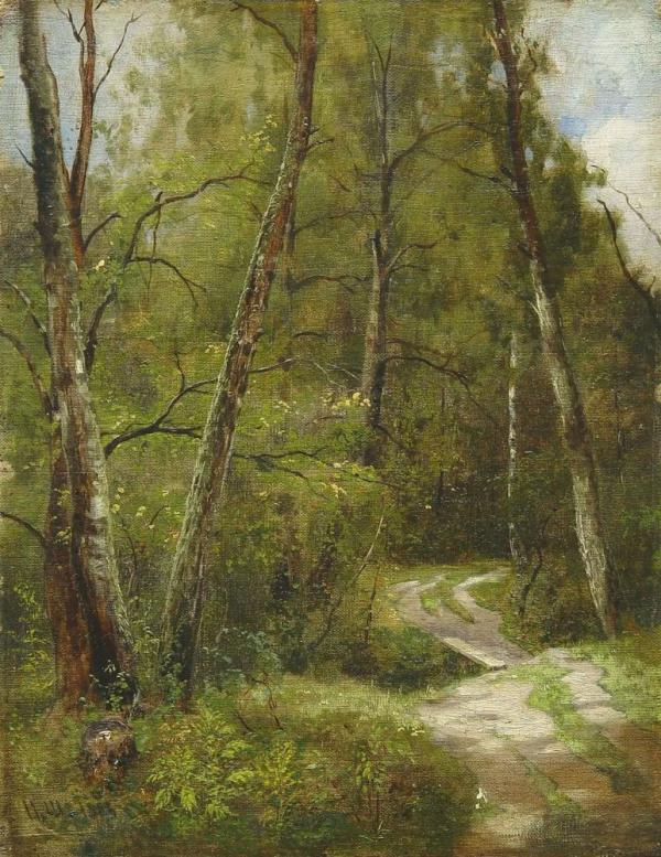 Path in the Woods 1886 by Ivan Shishkin | Oil Painting Reproduction