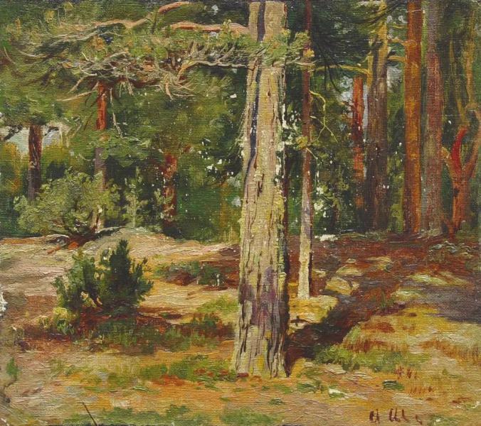 Pine 1867 by Ivan Shishkin | Oil Painting Reproduction