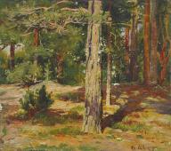 Pine 1867 By Ivan Shishkin