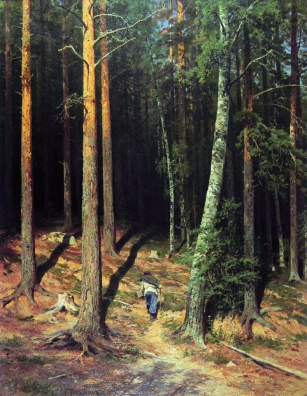 Pine Forest 1878 by Ivan Shishkin | Oil Painting Reproduction