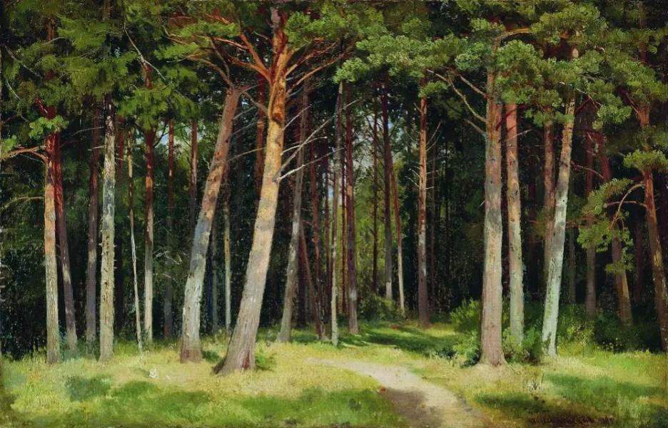 Pine Forest 1885 by Ivan Shishkin | Oil Painting Reproduction