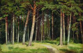 Pine Forest 1885 By Ivan Shishkin