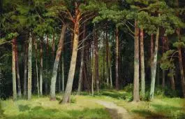 Pine Forest 1885 By Ivan Shishkin