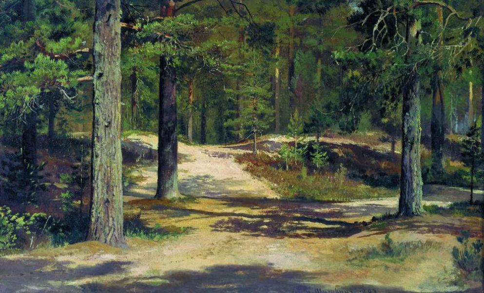 Pine Forest 1889 by Ivan Shishkin | Oil Painting Reproduction
