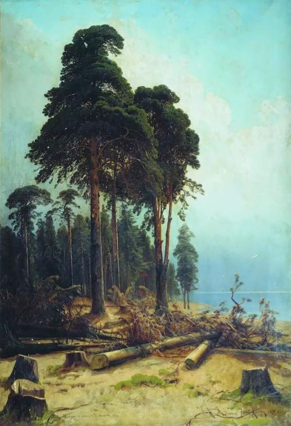 Pine Forest 1894 by Ivan Shishkin | Oil Painting Reproduction
