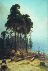 Pine Forest 1894 By Ivan Shishkin