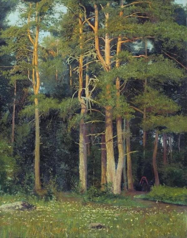 Pine Forest at Ligula 1895 by Ivan Shishkin | Oil Painting Reproduction