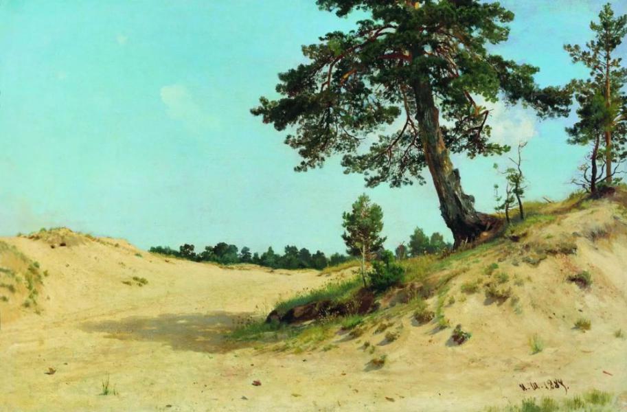 Pine on the Sand 1884 by Ivan Shishkin | Oil Painting Reproduction