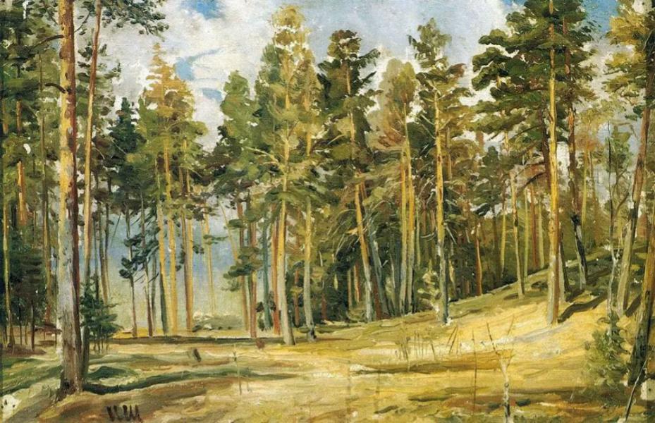 Pine Sunny Day 1890 by Ivan Shishkin | Oil Painting Reproduction