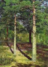 Pine Trees Illuminated by the Sun 1886 By Ivan Shishkin