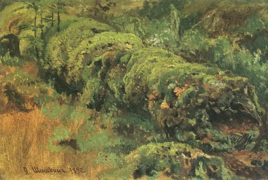 Rotten Wood Covered with Moss 1890 By Ivan Shishkin