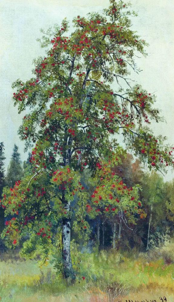 Rowan 1892 by Ivan Shishkin | Oil Painting Reproduction