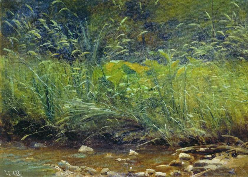 Side of the Pond 1890 by Ivan Shishkin | Oil Painting Reproduction