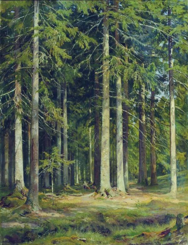 Spruce Forest 1891 by Ivan Shishkin | Oil Painting Reproduction