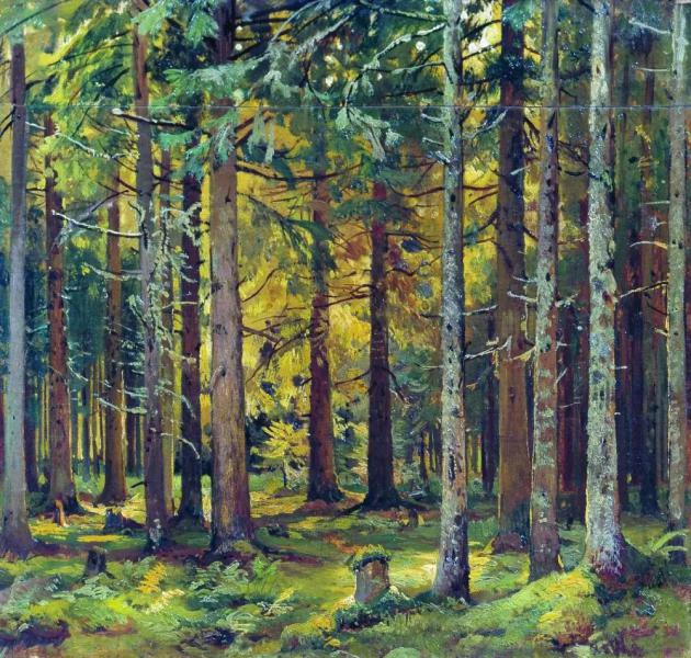 Spruce Forest by Ivan Shishkin | Oil Painting Reproduction