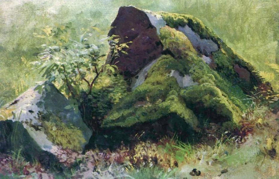 Stones 1890 by Ivan Shishkin | Oil Painting Reproduction