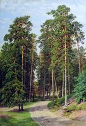 Sun in the Forest 1895 By Ivan Shishkin