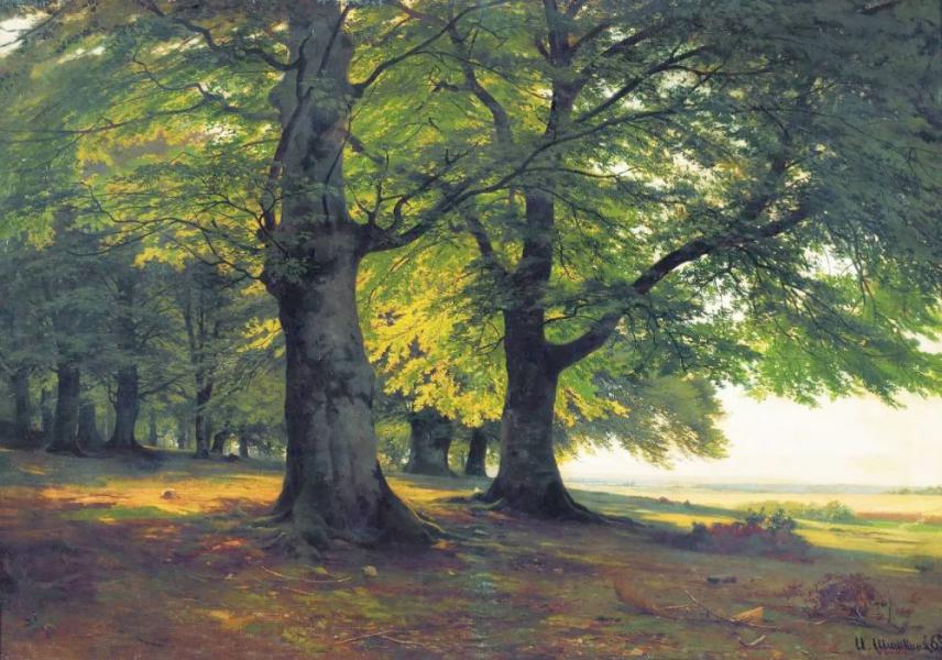 Teutoburg Forest 1865 by Ivan Shishkin | Oil Painting Reproduction