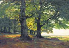 Teutoburg Forest 1865 By Ivan Shishkin