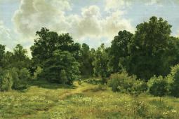 The Edge of a Deciduous Forest 1895 By Ivan Shishkin