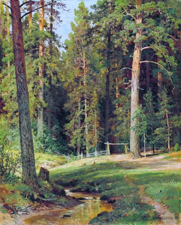 The Edge of the Forest 1884 by Ivan Shishkin | Oil Painting Reproduction