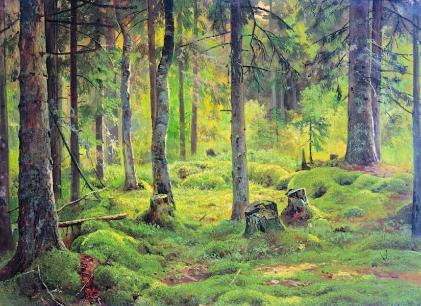 The Fallen Trees 1893 by Ivan Shishkin | Oil Painting Reproduction
