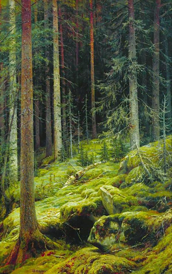 The Jungle 1881 by Ivan Shishkin | Oil Painting Reproduction
