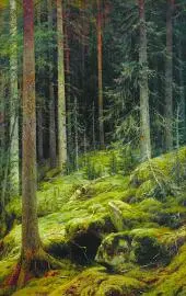 The Jungle 1881 By Ivan Shishkin