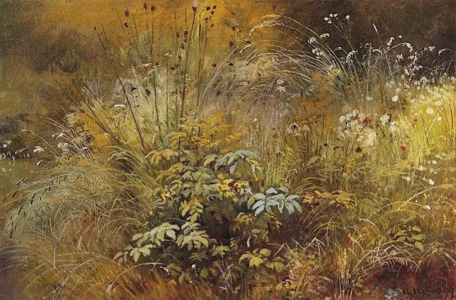 Weed 1892 by Ivan Shishkin | Oil Painting Reproduction