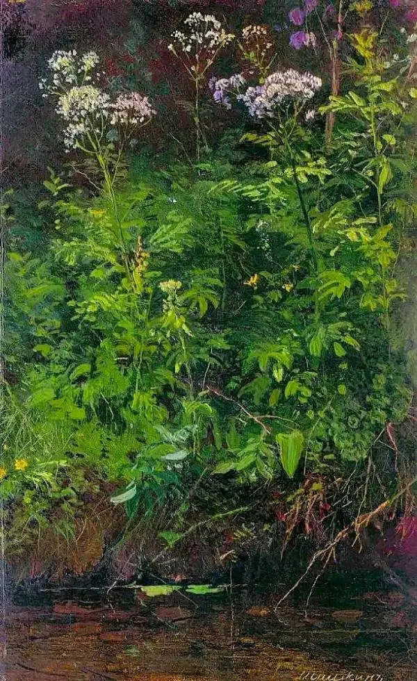 Wild Flowers Near the Water 1890 By Ivan Shishkin
