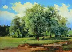 Willow Illuminated by the Sun 1870 By Ivan Shishkin