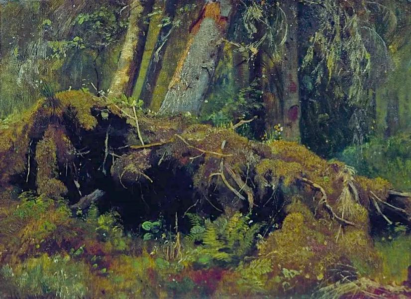 Windbreak 1880 by Ivan Shishkin | Oil Painting Reproduction