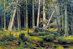 Windbreak1888 By Ivan Shishkin