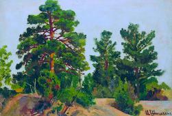 Young Pines By Ivan Shishkin