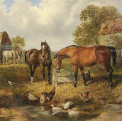 Farmyard Friends By Joseph Clark