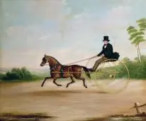 Study Of A Gentleman In A Gig By Joseph Clark