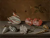 A Tulip Carnation Roses with Shells and Insects on a Ledge By Balthasar van der Ast