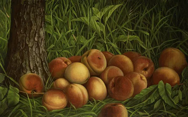 Peaches 1884 By Levi Wells Prentice