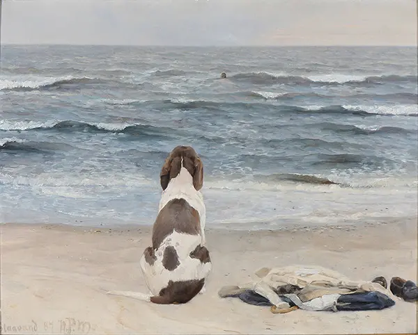 A Dog on the Beach By Niels Pedersen Mols