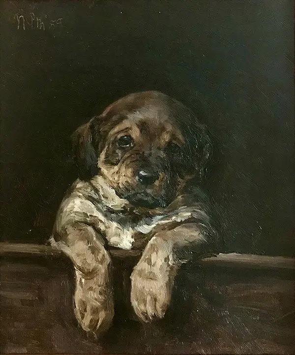 A Puppy By Niels Pedersen Mols