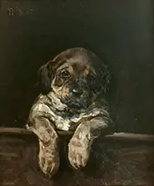 A Puppy By Niels Pedersen Mols