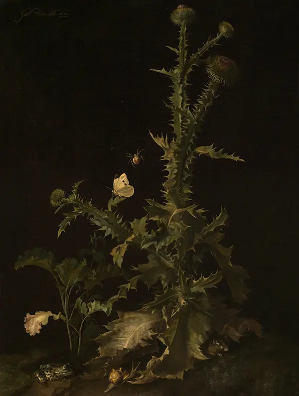 Thistle with Various Animals By Willem van Aelst
